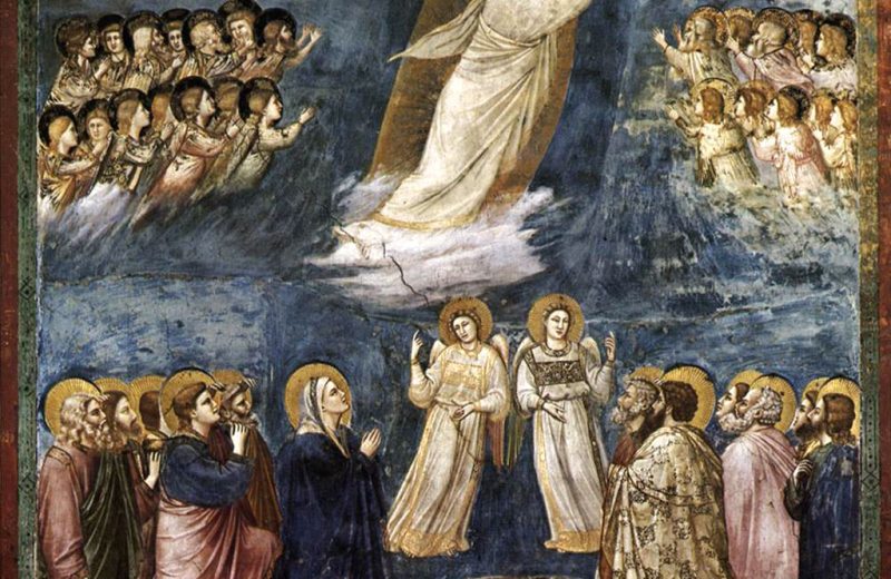 ascensione giotto